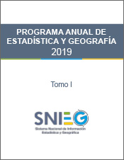 Imagen de la portada del Programa Anual de Estadística y Geografía 2019