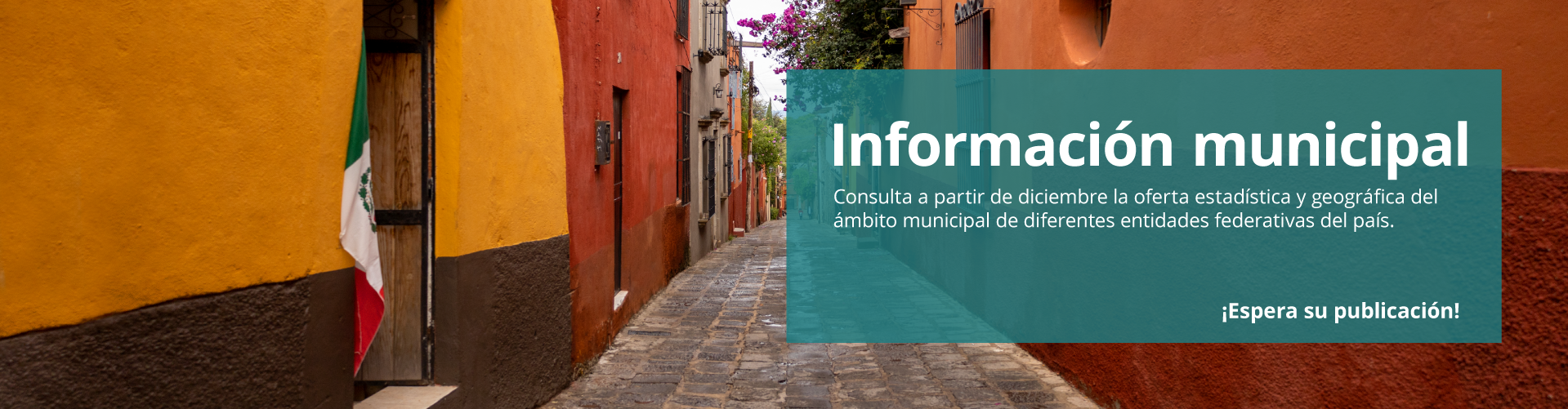 Consulta las fichas