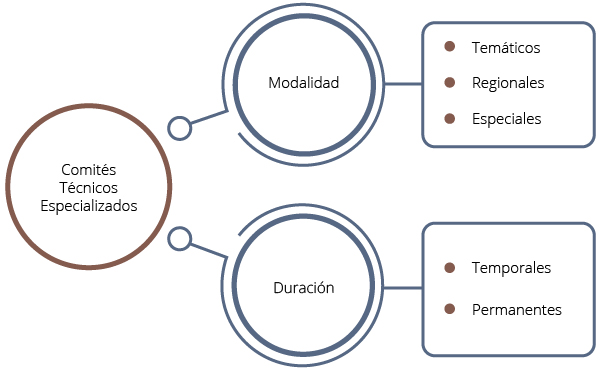 Los Comités Técnicos Especializados se clasifican de acuerdo con su modalidad en: temáticos, regionales y especiales; y según su duración: en temporales y permanentes