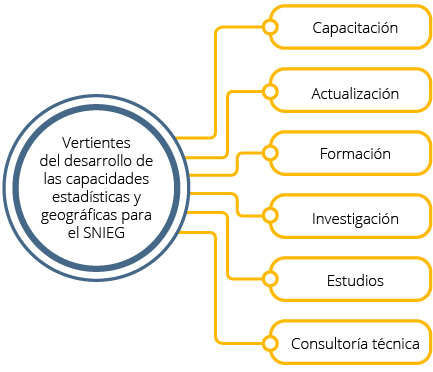 Vertientes de dasarrollo de capacidades estadísticas y geográficas, entre las que se encuentran la capacitación, actualización, formación, investigación, estudios y consultoría técnica