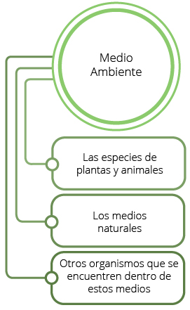 Los temas del componente del medio ambiente son: las especies de plantas y animales; los medios naturales, y otros organismos que se encuentren dentro de estos medios