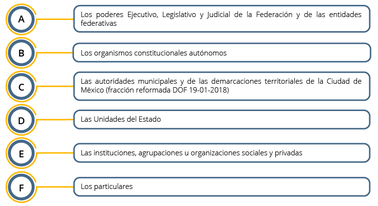 Los poderes Ejecutivo, Legislativo y Judicial de la Federación y de las entidades federativas; los organismos constitucionales autónomos; las autoridades municipales; las Unidades del Estado; las instituciones, agrupaciones u organizaciones sociales y privadas, y los particulares