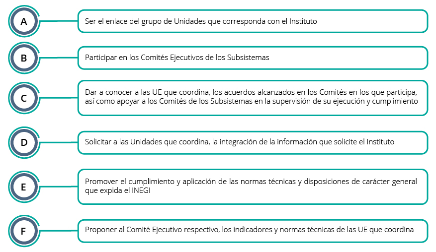 Son responsabilidades del Coordinador: ser enlace, participar en los Comités Ejecutivos; dar a conocer los acuerdos; solicitar la integración de información; promover las normas técnicas; y proponer indicadores y normas técnicas