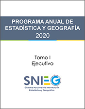 Imagen de la portada del Programa Anual de Estadística y Geografía 2020