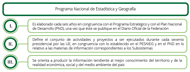 Características  del programa Nacional de Información Estadística y Geografía