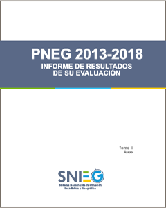 Imagen de la portada del Informe de resultados de la evaluación del Programa Nacional de Estadística y Geografía 2013 a 2018, tomo dos, anexo