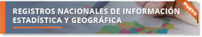 Acceso a los RNIEG