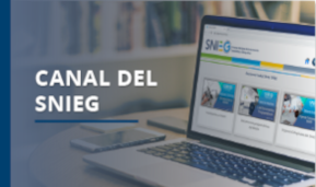 Acceso al Canal del SNIEG
