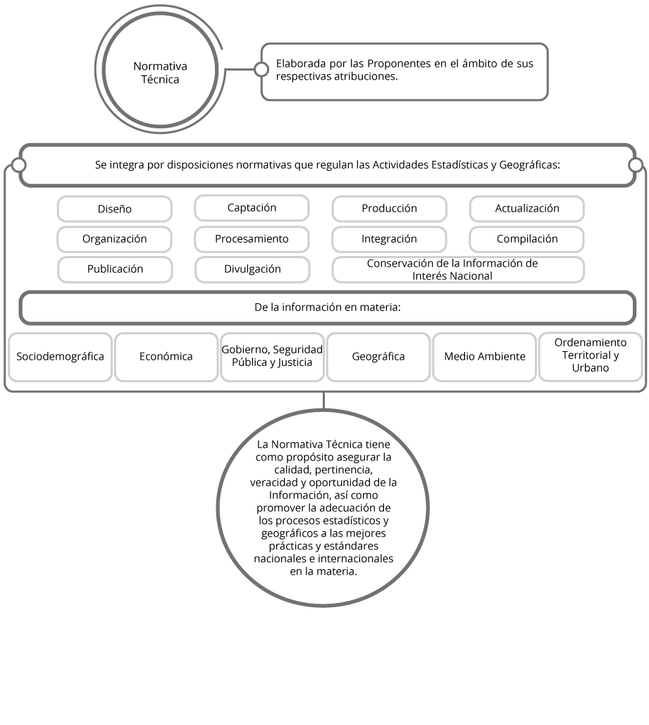 Normativa técnica, elaborada por las proponentes en el ámbito de sus respectivas atribuciones; se integra por disposiciones normativas que regulan las Actividades Estadísticas y geográficas