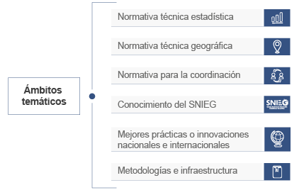 Vertientes de dasarrollo de capacidades estadísticas y geográficas, entre las que se encuentran la capacitación, actualización, formación, investigación, estudios y consultoría técnica