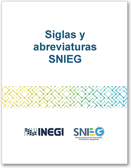  Imágen del Sistema Virtual del SNIEG